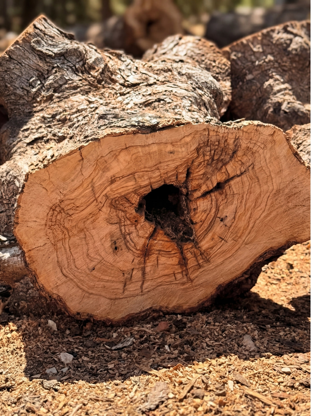 Olive Wood